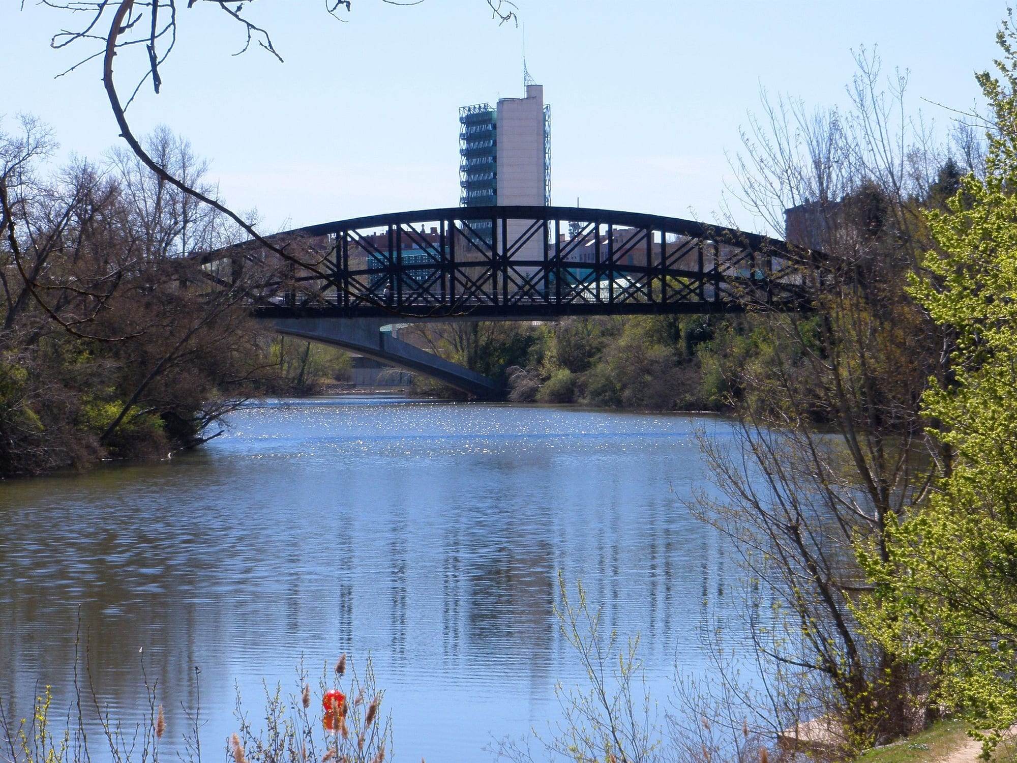 The river Pisuerga in Valladolid on a spring day: the dark iron arch of the Puente Colgante spans the calm blue water with a concrete bridge arching beyond it, a tall modern tower and city buildings rise behind, and bare and budding riverside trees frame the view, their reflections trembling on the surface